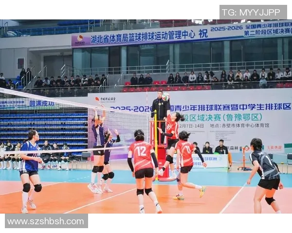 武汉排球队的拼搏之路与冠军赛的辉煌成就回顾